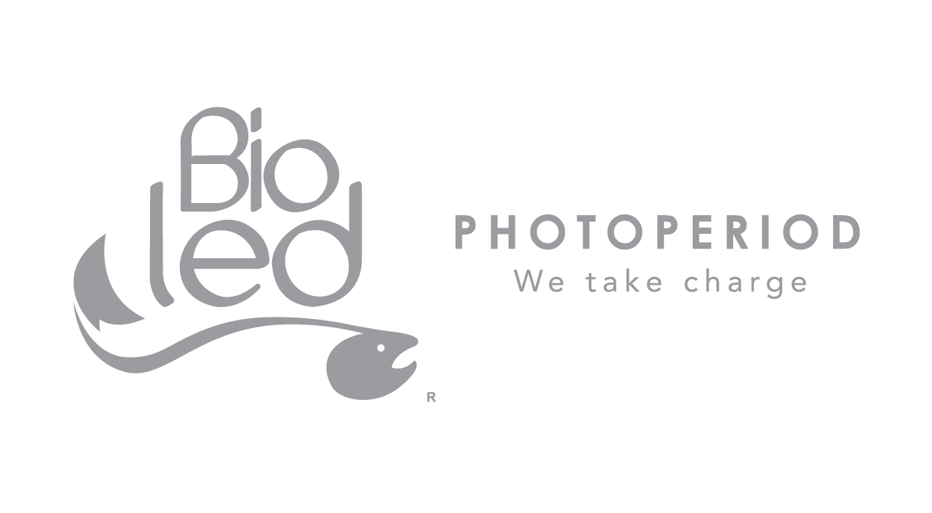 logo Bioled horzontal gris