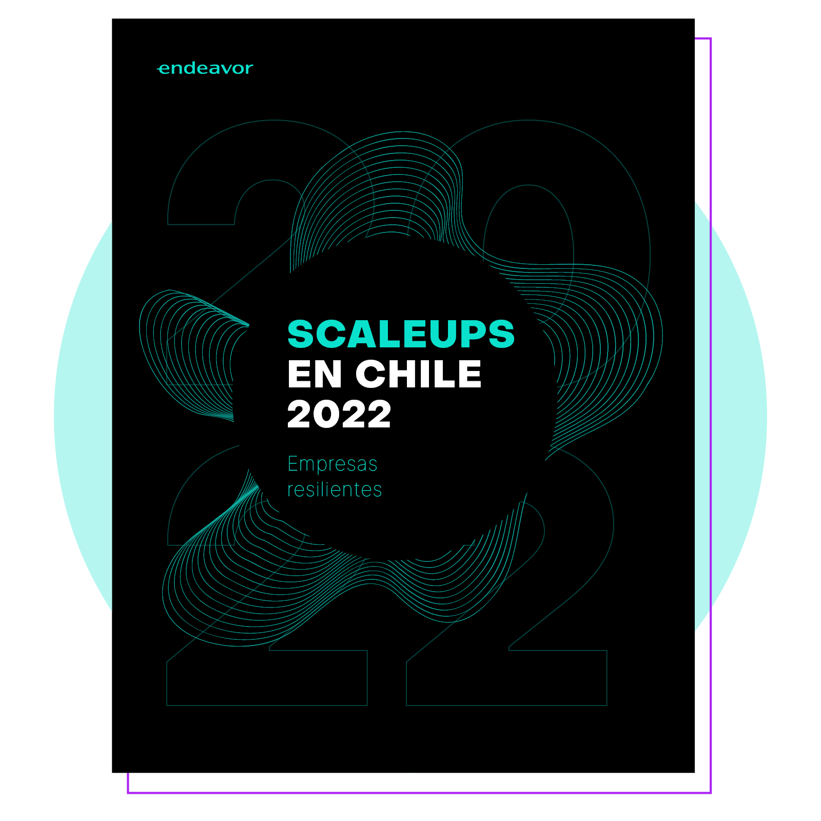 Scale ups - Portada Web (1)