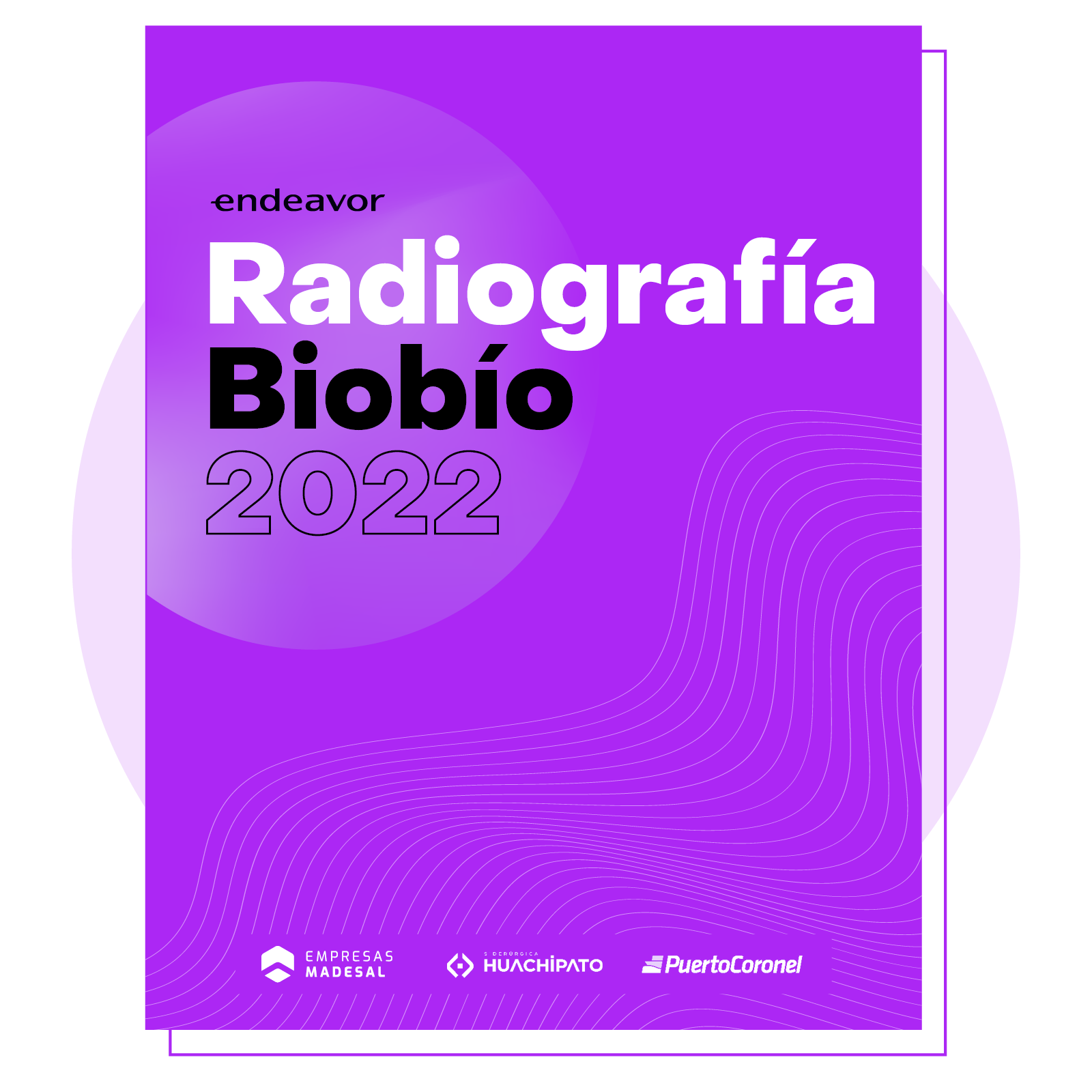 Portadas documentos web - Radiografia Biobio (1)