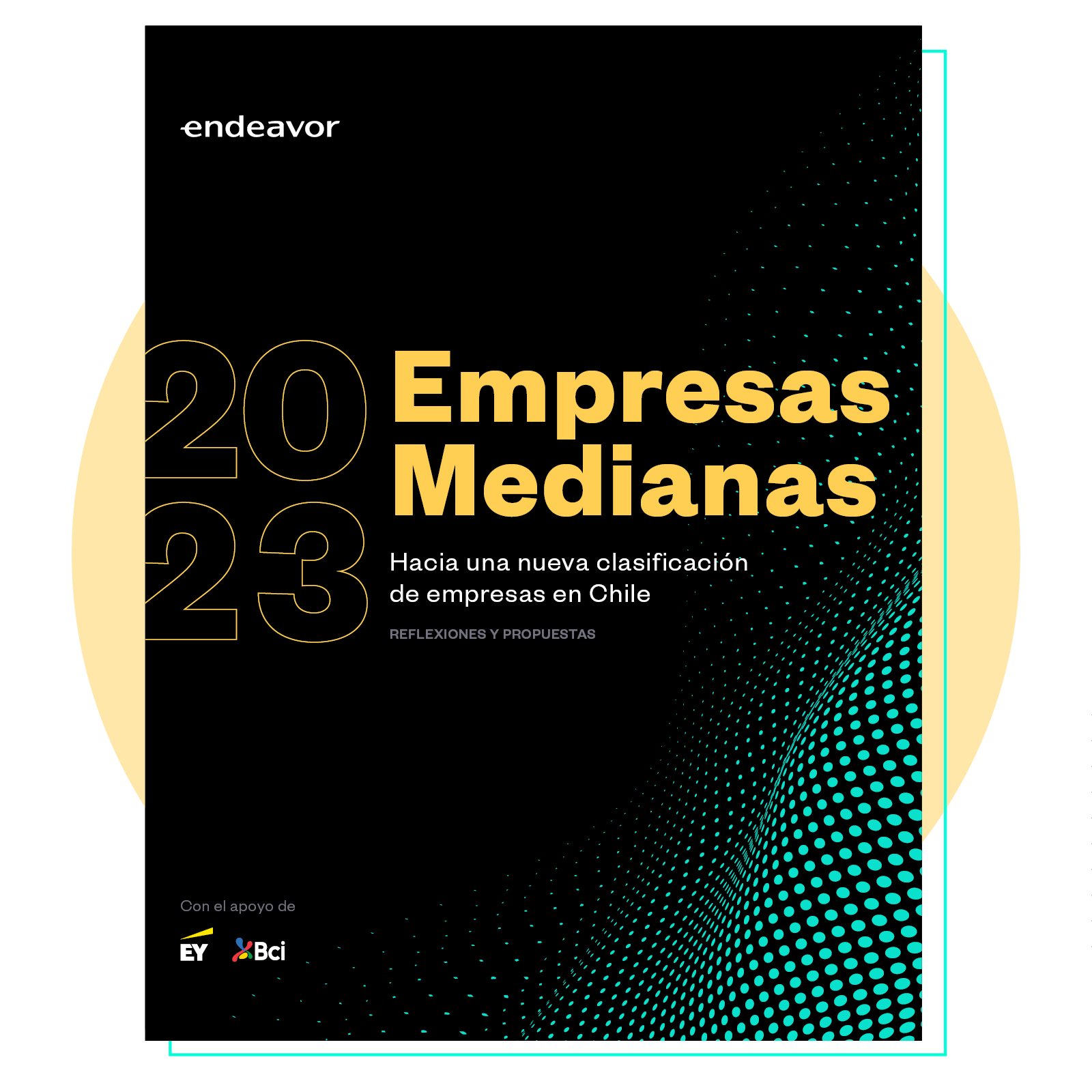 Portadas documentos web - Empresas Medianas (2)